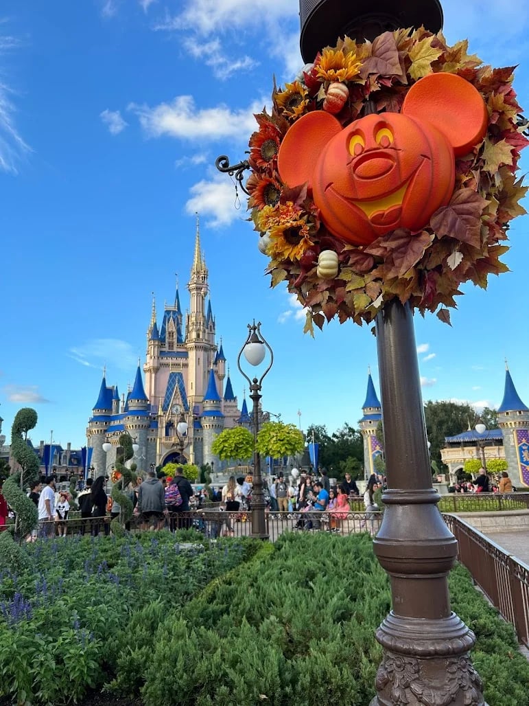 Frequently Asked Questions