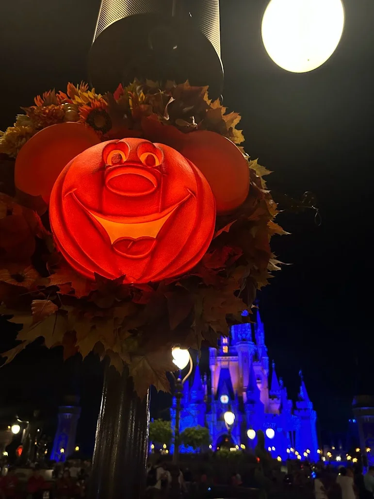 Travel Photo Gallery