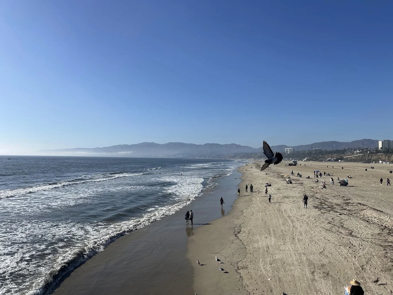 Current Promotions and Deals