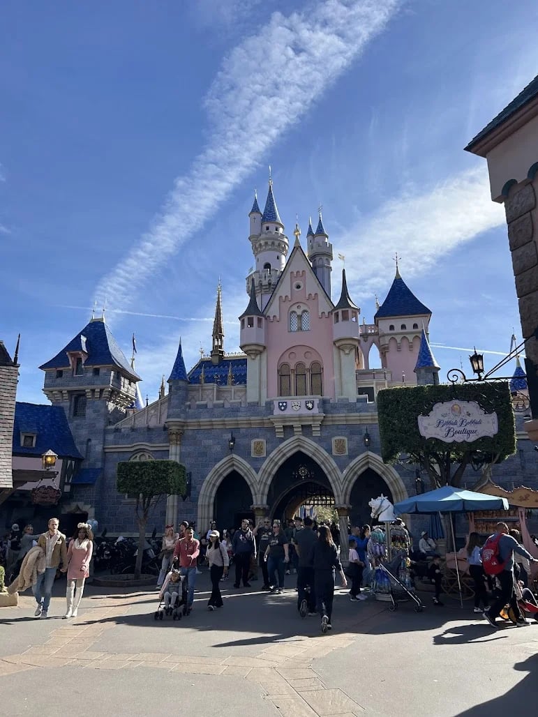 About Starborn Travel Agency